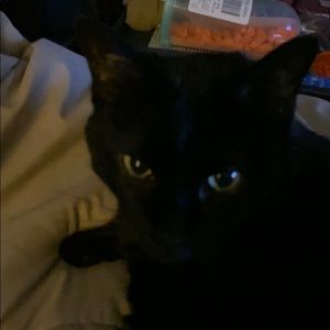 Meet your Posher, Kristi